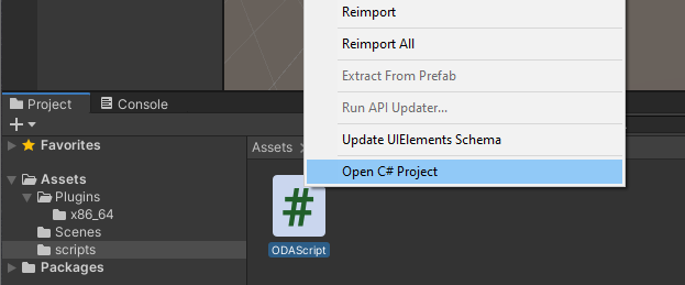 open C# project